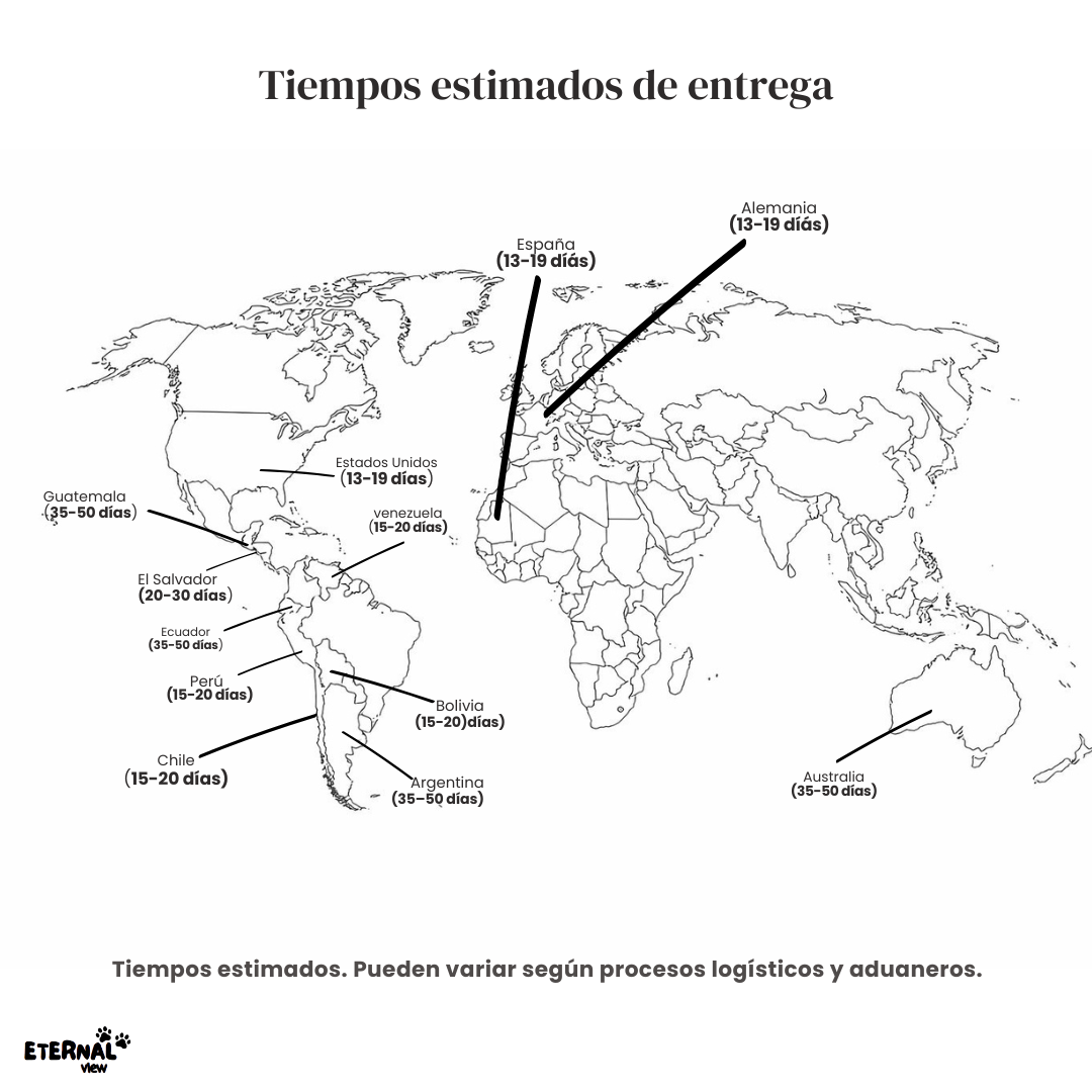 Collar Memoria Eterna