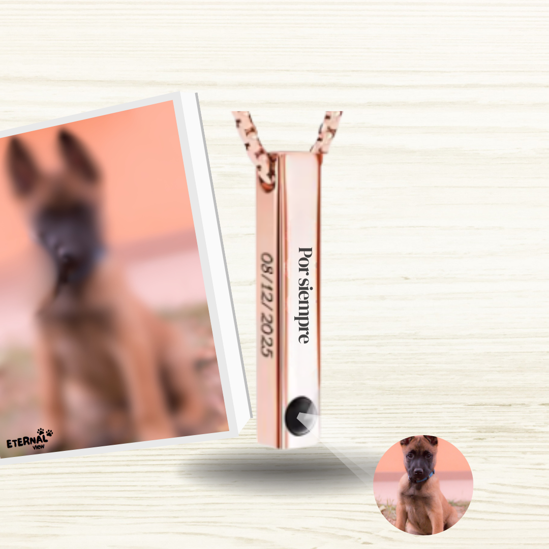 Collar Memoria Eterna