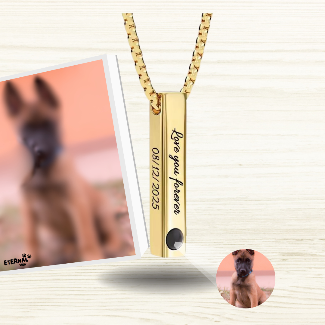 Collar Memoria Eterna